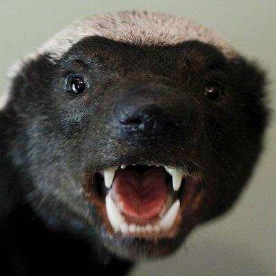 Photo of Justin S.
