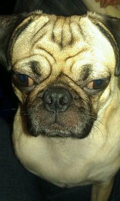 photo of Evangeline A.