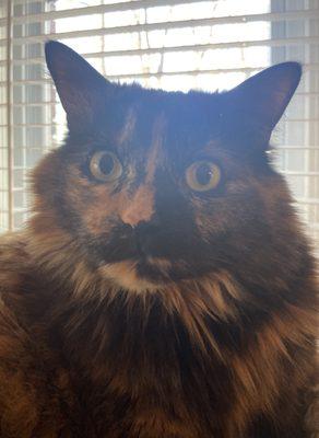 photo of Kat S.