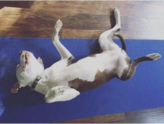 photo of Michelle K.