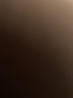 photo of Pineapple P.