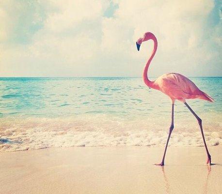 photo of Brittany S.