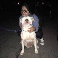 Photo of Gaby Z.