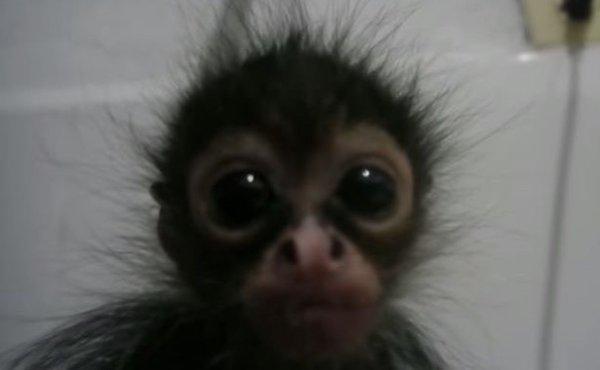 Photo of Ani F.