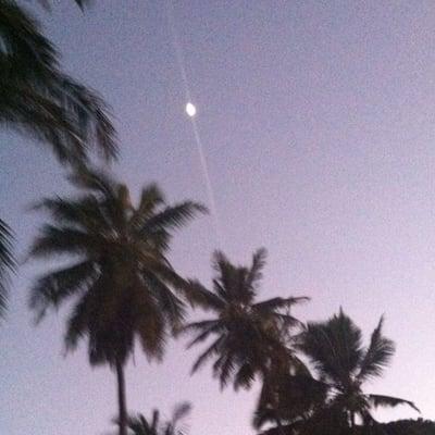 Photo of Courtney H.