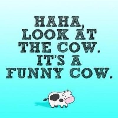 photo of Jonathan Y.