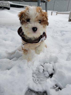 photo of Michelle B.