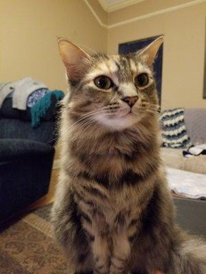 Photo of Jennifer M.