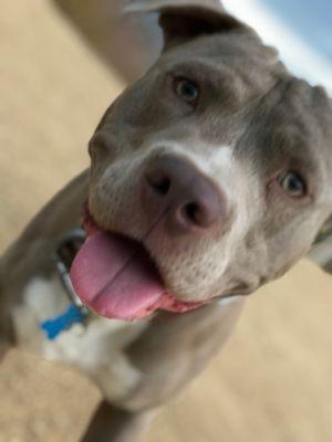 photo of Charcoal J.