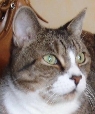 Photo of Merle B.