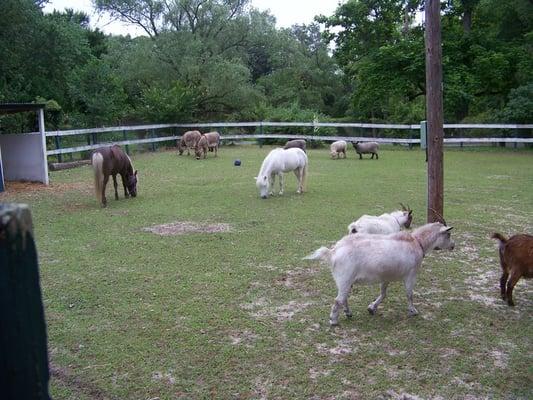 photo of Patricia S.