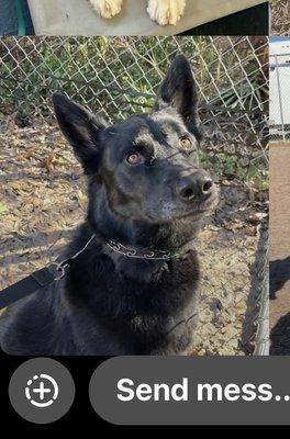 photo of Mary Jane V.