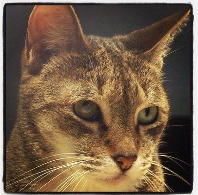 Photo of BigMamaJamma C.