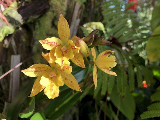 Photo of Jennifer L.