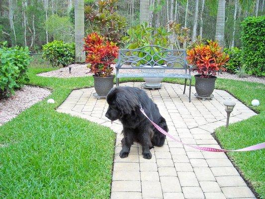 photo of Cheryl Moliterno M.