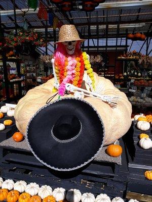 photo of Meredith B.