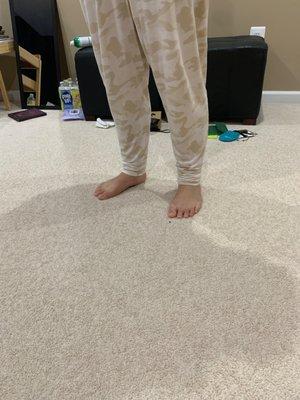 photo of Dinosaur M.