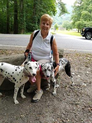 Photo of Liz S.