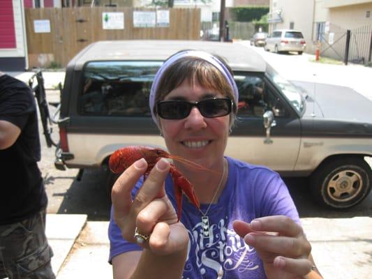 Photo of Deb S.