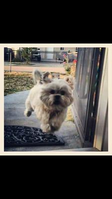 photo of Guadalupe R.