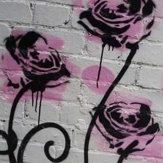 photo of ParkerGal 1.