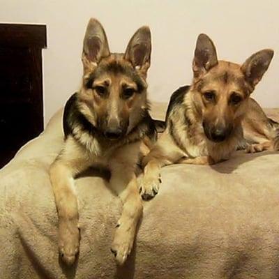 photo of Adelaide B.