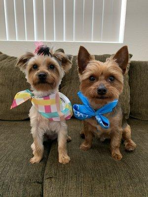 photo of Cristina J.