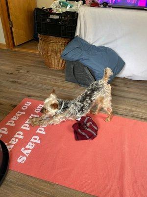 photo of Happier Times M.