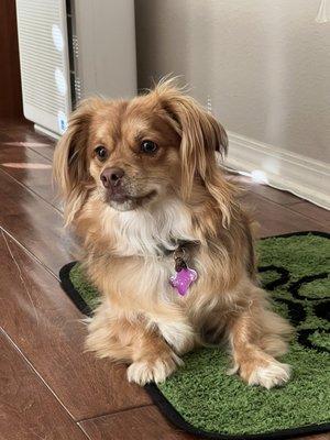 photo of Christine A.