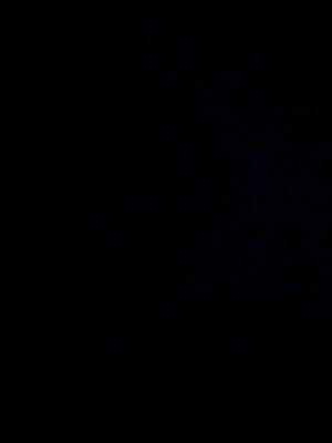 photo of Lily N.