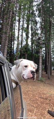 Photo of Tink R.