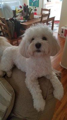 photo of Jefferson A.