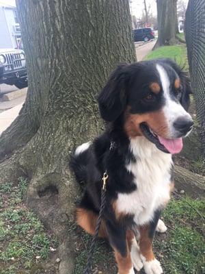 photo of Stephanie C.