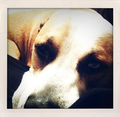 photo of Geraldine C.