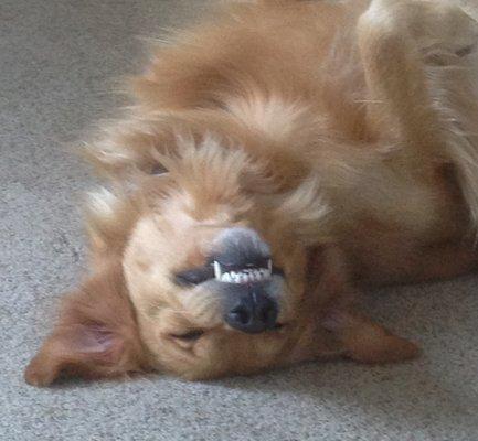 Photo of Courtney C.