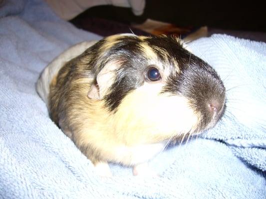 Photo of Penelope P.