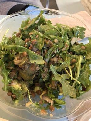 photo of Krisztina F.