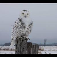 photo of Nicholas R.