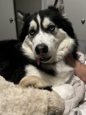 Photo of Ambrosia R.