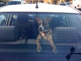 photo of Michelle T.