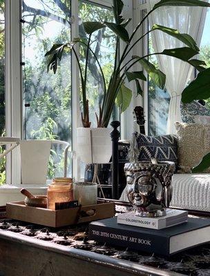 photo of Shanette V.