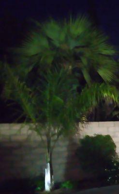 photo of Awdurdod A.