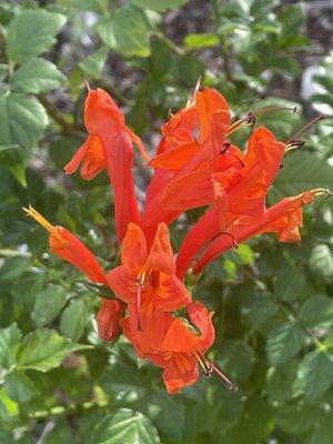 photo of R. Scott H.