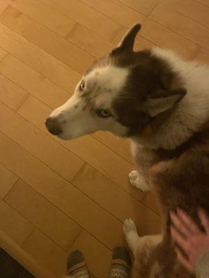 photo of Samantha F.