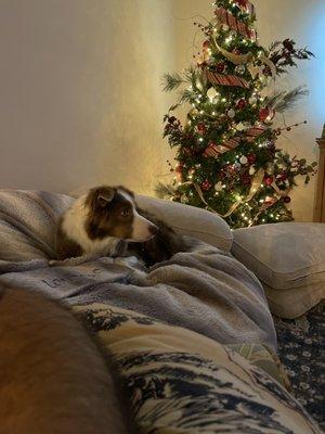 photo of Christopher T.