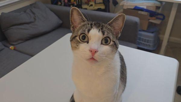 photo of Jane Jingyu Z.