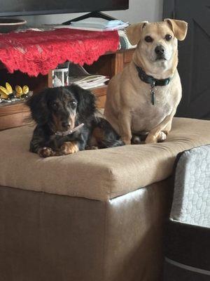 photo of Rosemarie ..