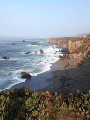 photo of Danielle O.