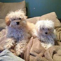 photo of Jennifer S.