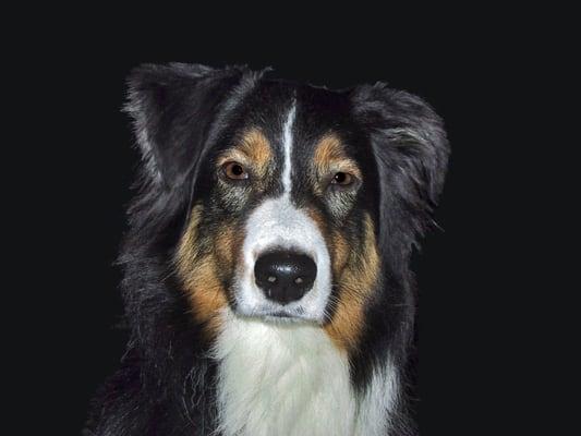 photo of Terrance W.